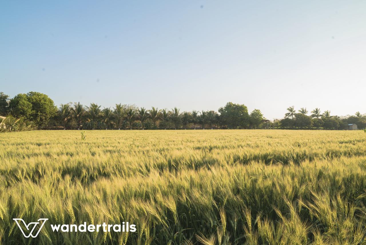 Lookout Villa - A Wandertrails Stay Sasan Gir Eksteriør billede